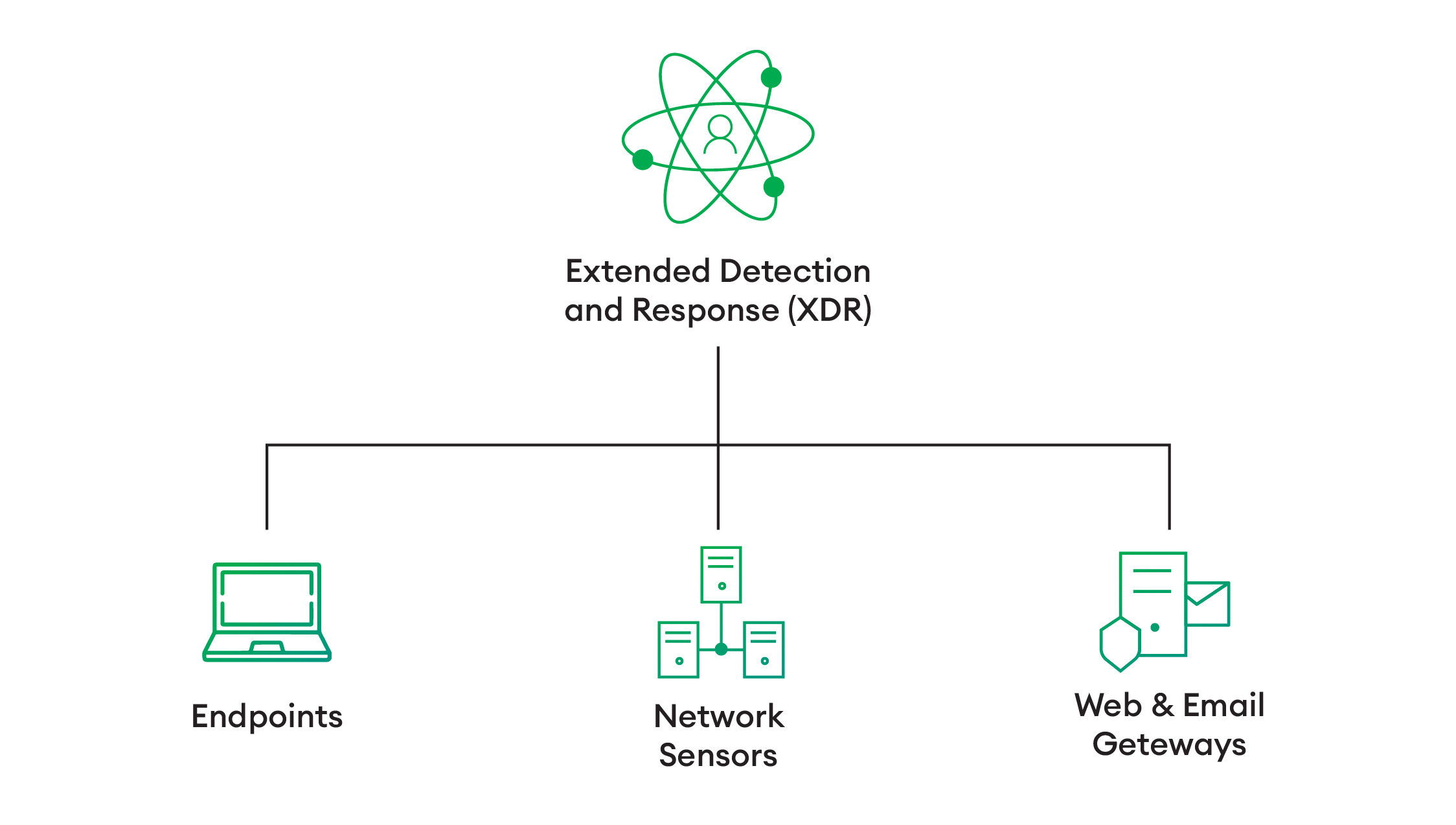 Endpoint Detection and Response System